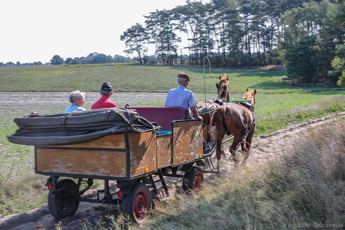 Heidekutsche am Undeloher Heidelehrweg Heidekutsche am Undeloher Heidelehrweg