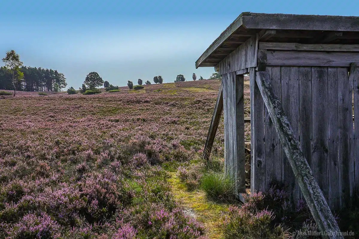 Bienenhaus am Undeloher Heidelehrweg Bienenhaus am Undeloher Heidelehrweg
