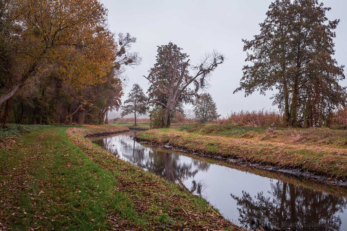 Altfriedländer Teiche im Herbst