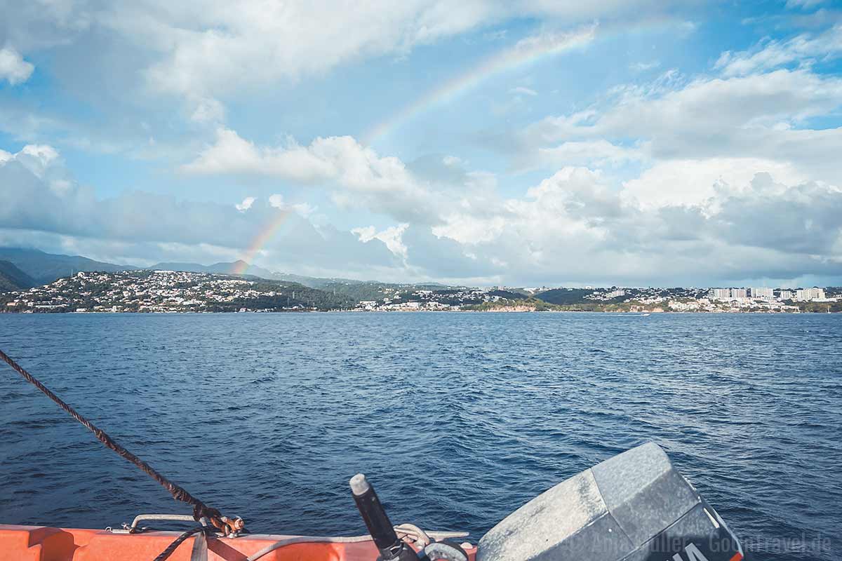 Blick von der Fähre auf Martinique