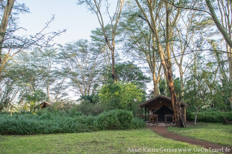 Migunga tented Camp in Tansania Migunga tented Camp in Tansania