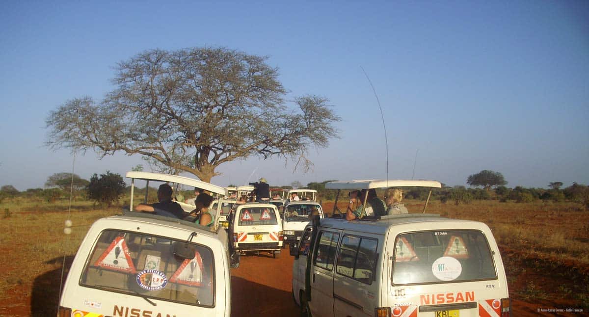 Minibusse im Tsavo Ost NP