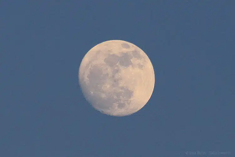 Mond fotografieren in der der blauen Stunde: 1/400 Sekunden, f/7,1, ISO 640, 300 mm
