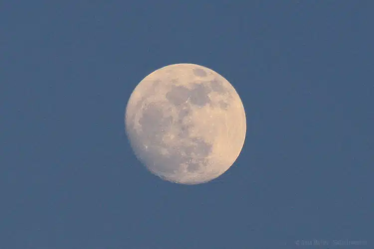Mond fotografieren in der der blauen Stunde: 1/400 Sekunden, f/7,1, ISO 640, 300 mm Mond fotografieren in der der blauen Stunde: 1/400 Sekunden, f/7,1, ISO 640, 300 mm