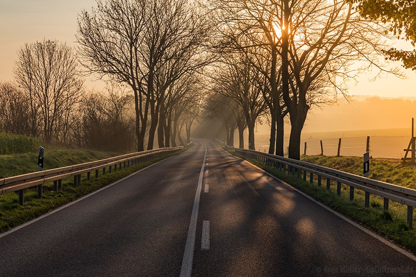 Strasse im Morgennebel