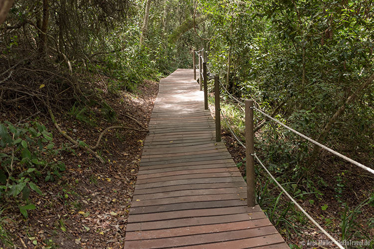 Der Mouth Trail im Tsitsikamma Nationalpark