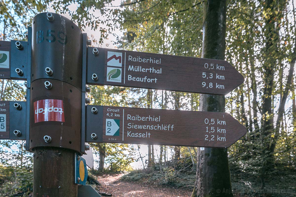 Der Mullerthal Trail ist mit dem rotem M gekennzeichnet.