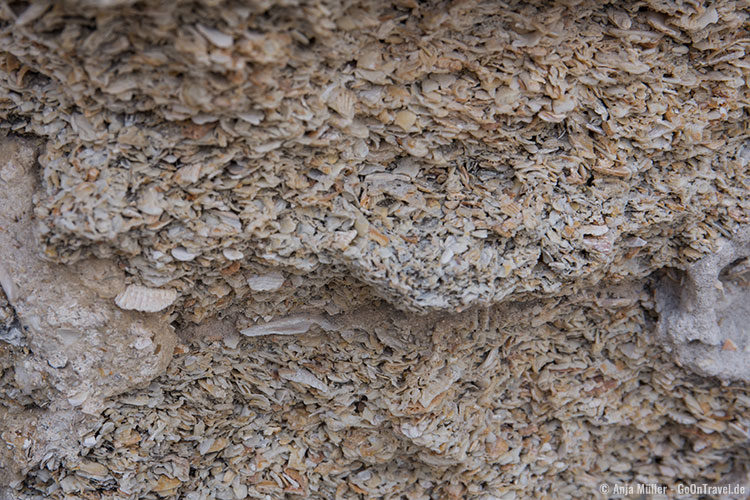Festung Castillo de San Marcos besteht aus Muschelkalkstein Festung Castillo de San Marcos besteht aus Muschelkalkstein