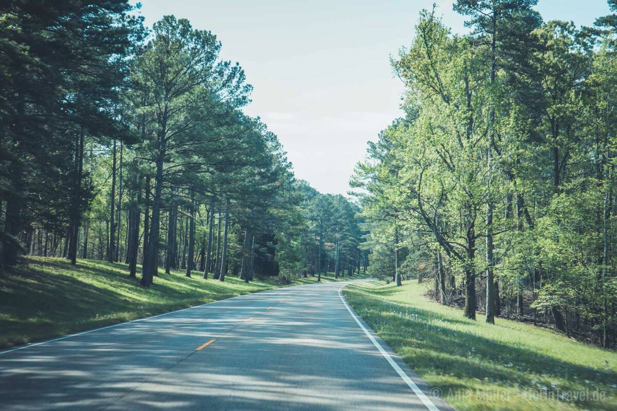 Natchez Trace Parkway