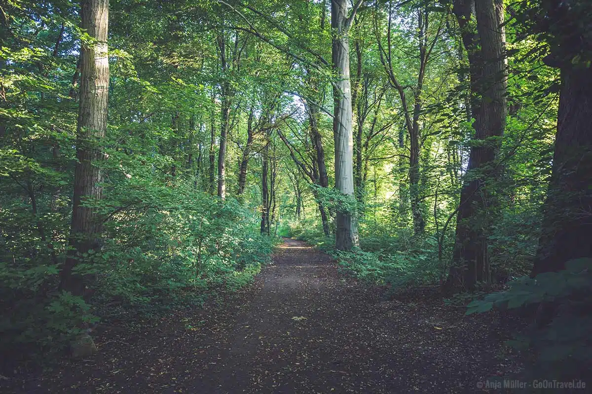 Der Plänterwald ist eine schöne Naturoase in Berlin Der Plänterwald ist eine schöne Naturoase in Berlin