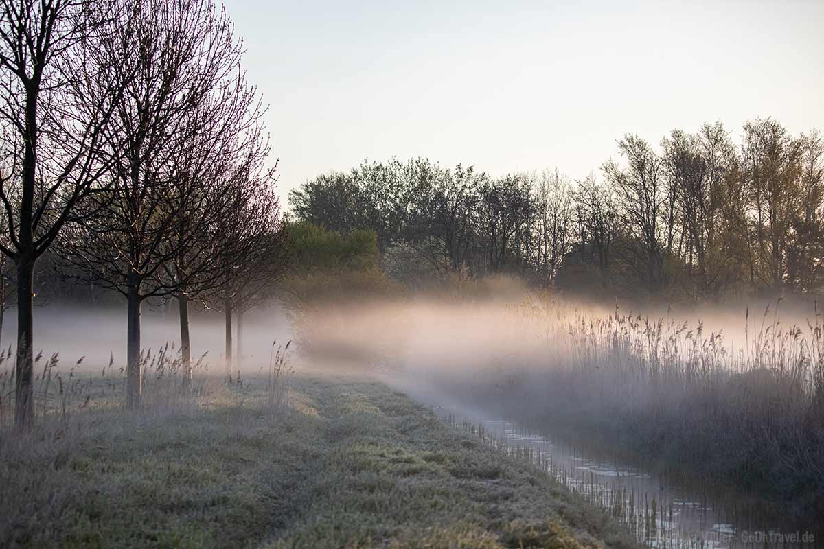 Morgennebel am Rudower Fließ