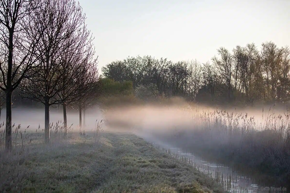 Morgennebel am Rudower Fließ Morgennebel am Rudower Fließ