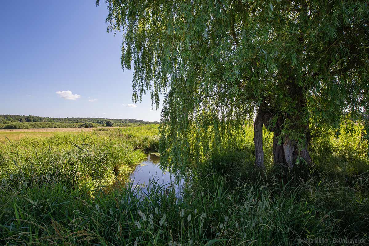 Natur pur in Berlin