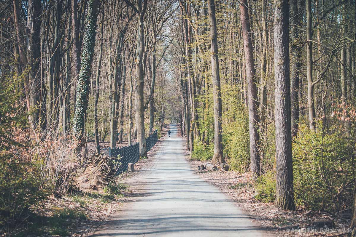 Unterwegs im Tegeler Forst nahe dem Wildgehege