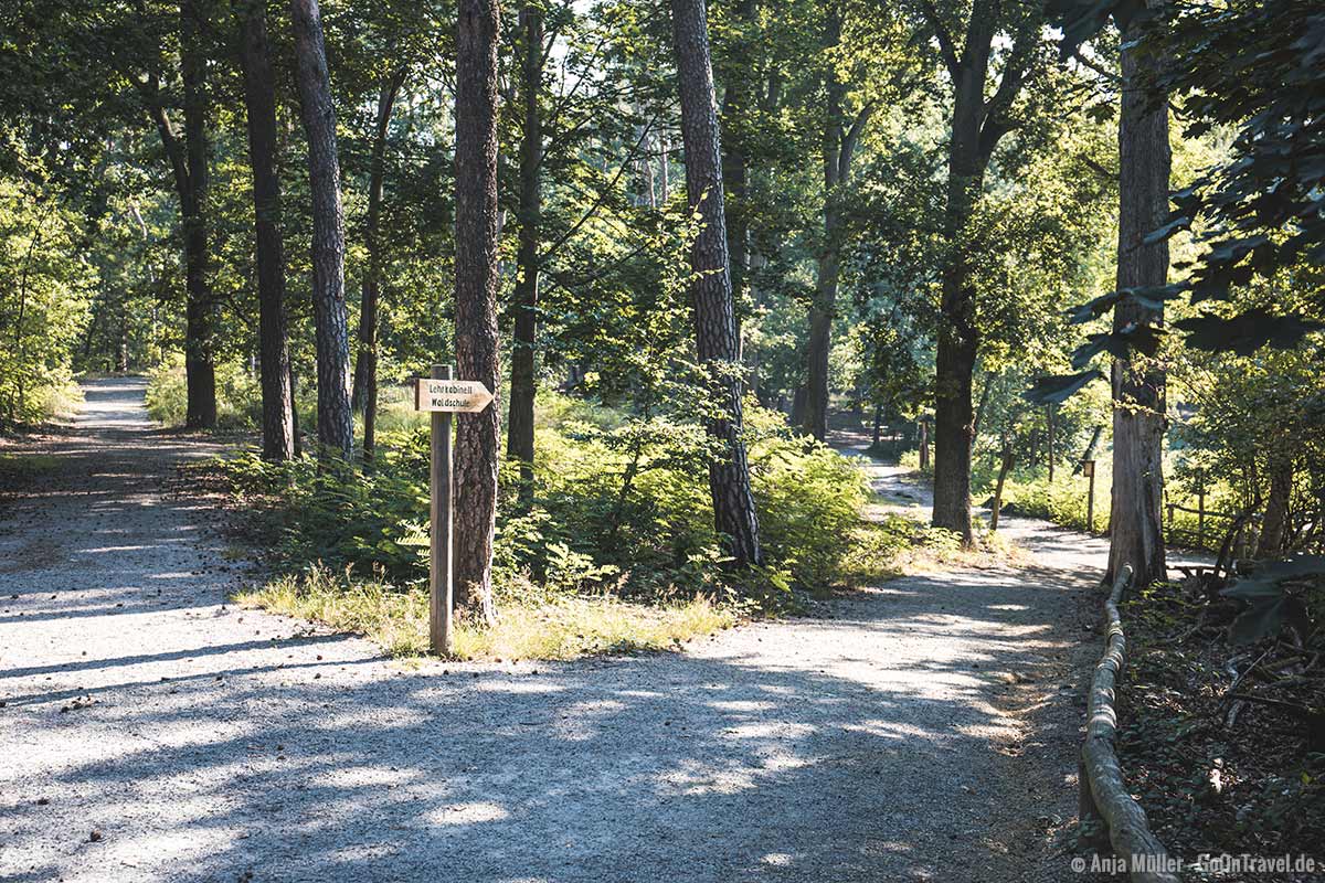 Naturlehrpfad der Waldschule