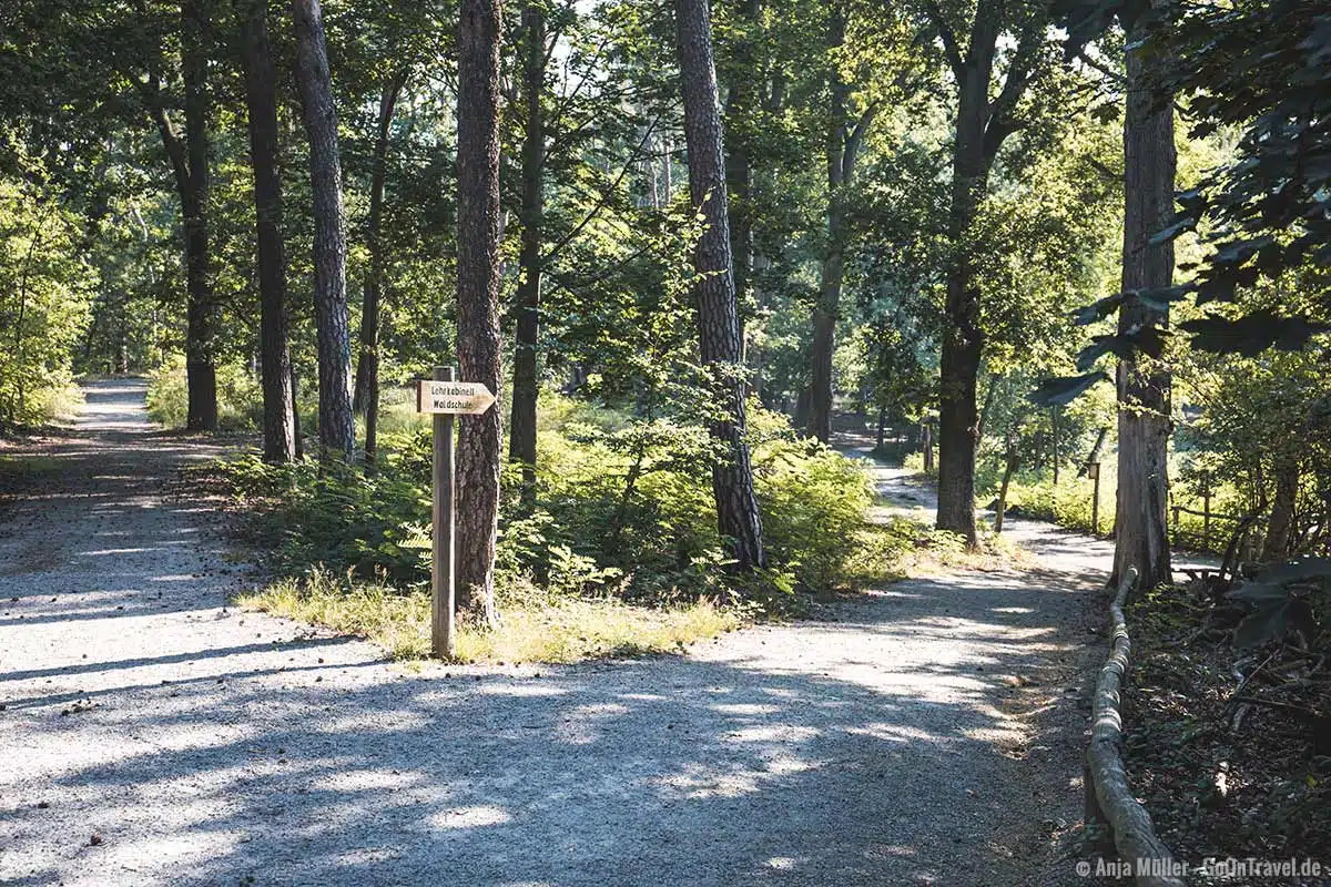 Naturlehrpfad der Waldschule Naturlehrpfad der Waldschule