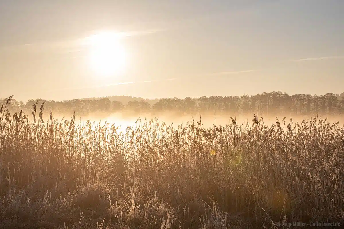 Sonnenaufgang und Morgennebel Sonnenaufgang und Morgennebel