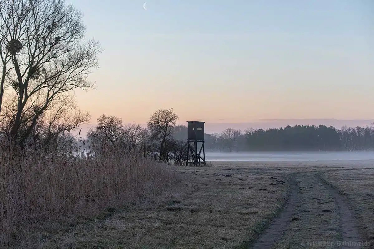 Morgennebel in Teltow Fläming Morgennebel in Teltow Fläming