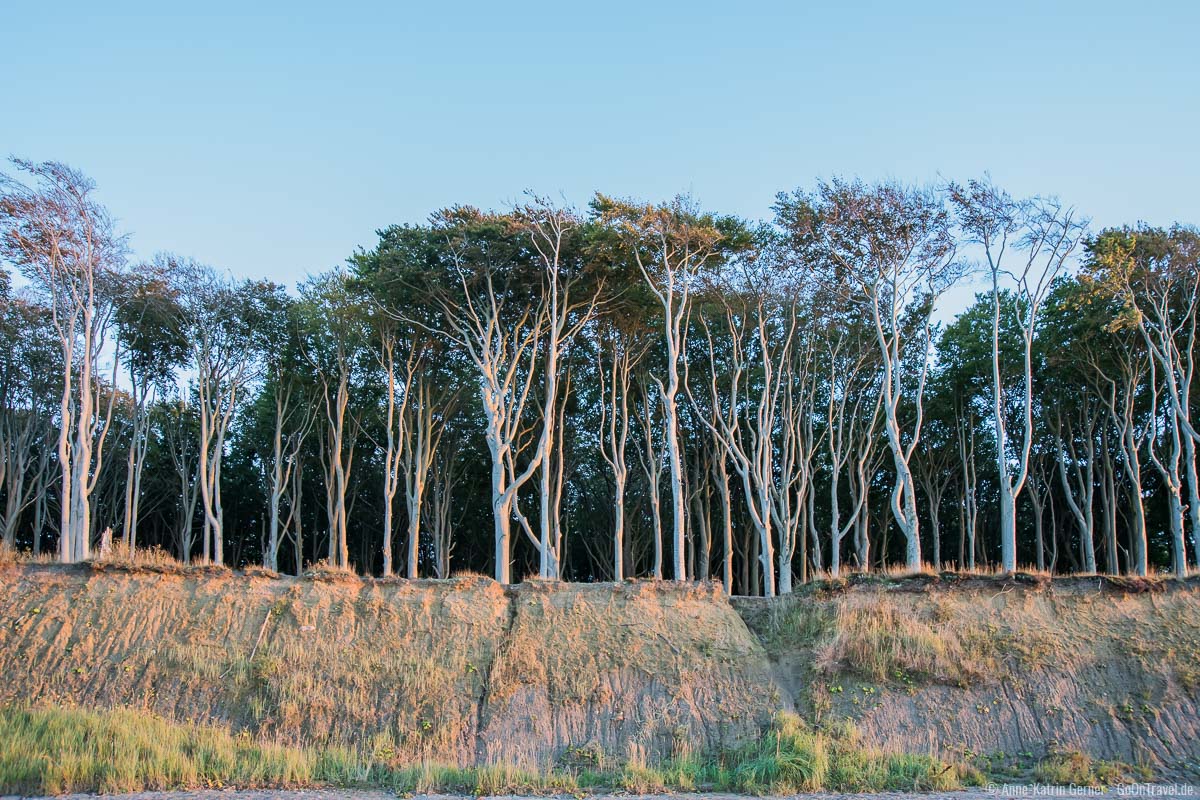 Erosionsrinnen an der Steilküste des Gespensterwaldes Erosionsrinnen an der Steilküste des Gespensterwaldes