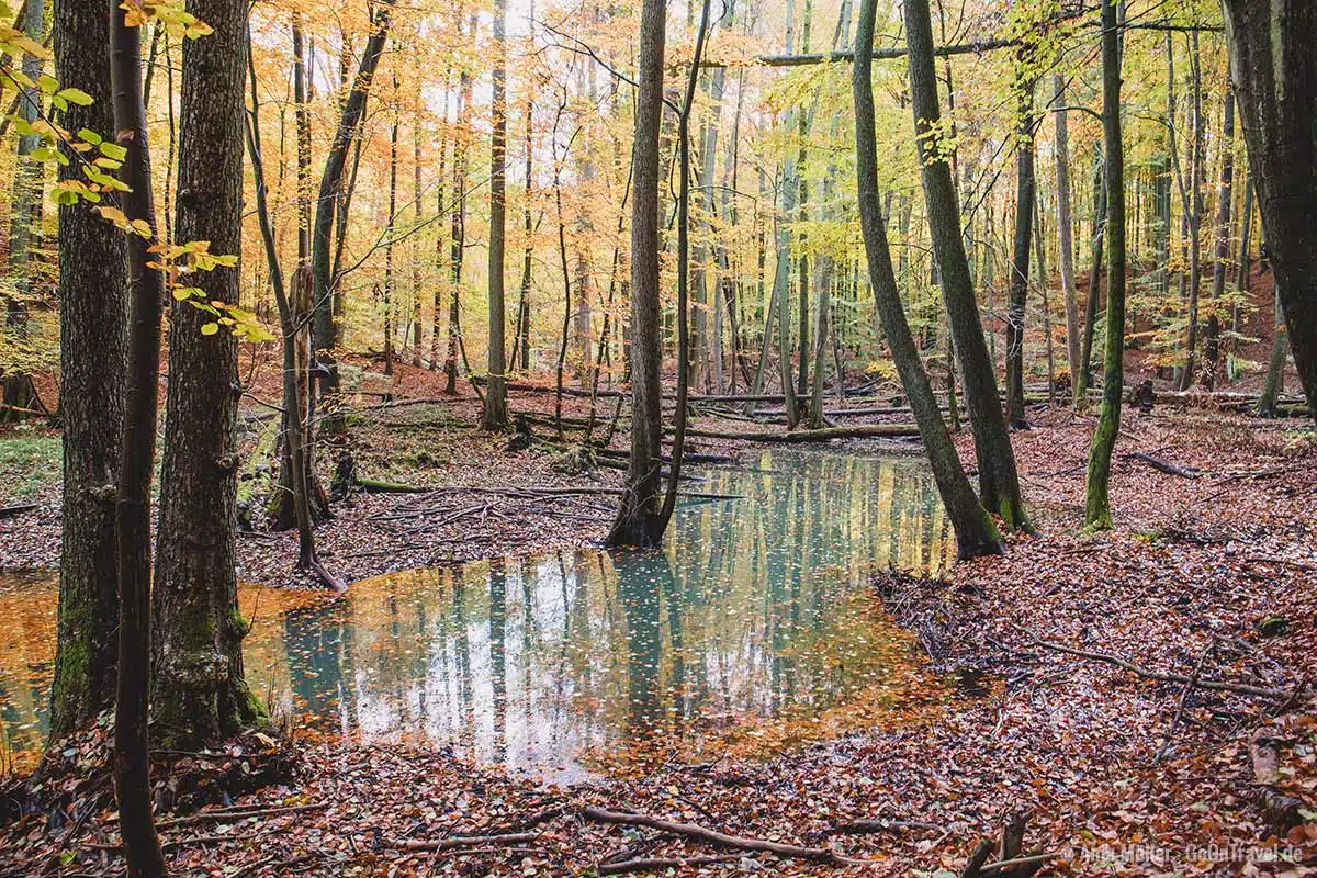 Nonnenfließ im Herbst Nonnenfließ im Herbst