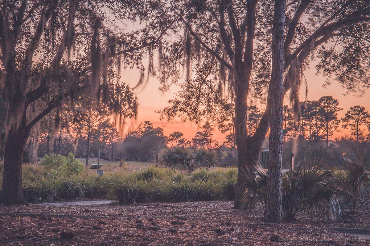 Sonnenuntergang in Orlando