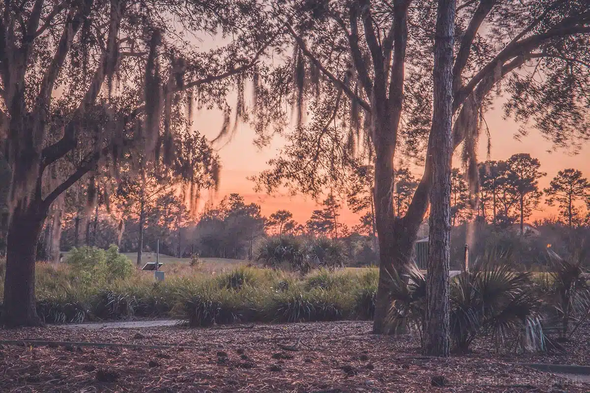 Sonnenuntergang in Orlando