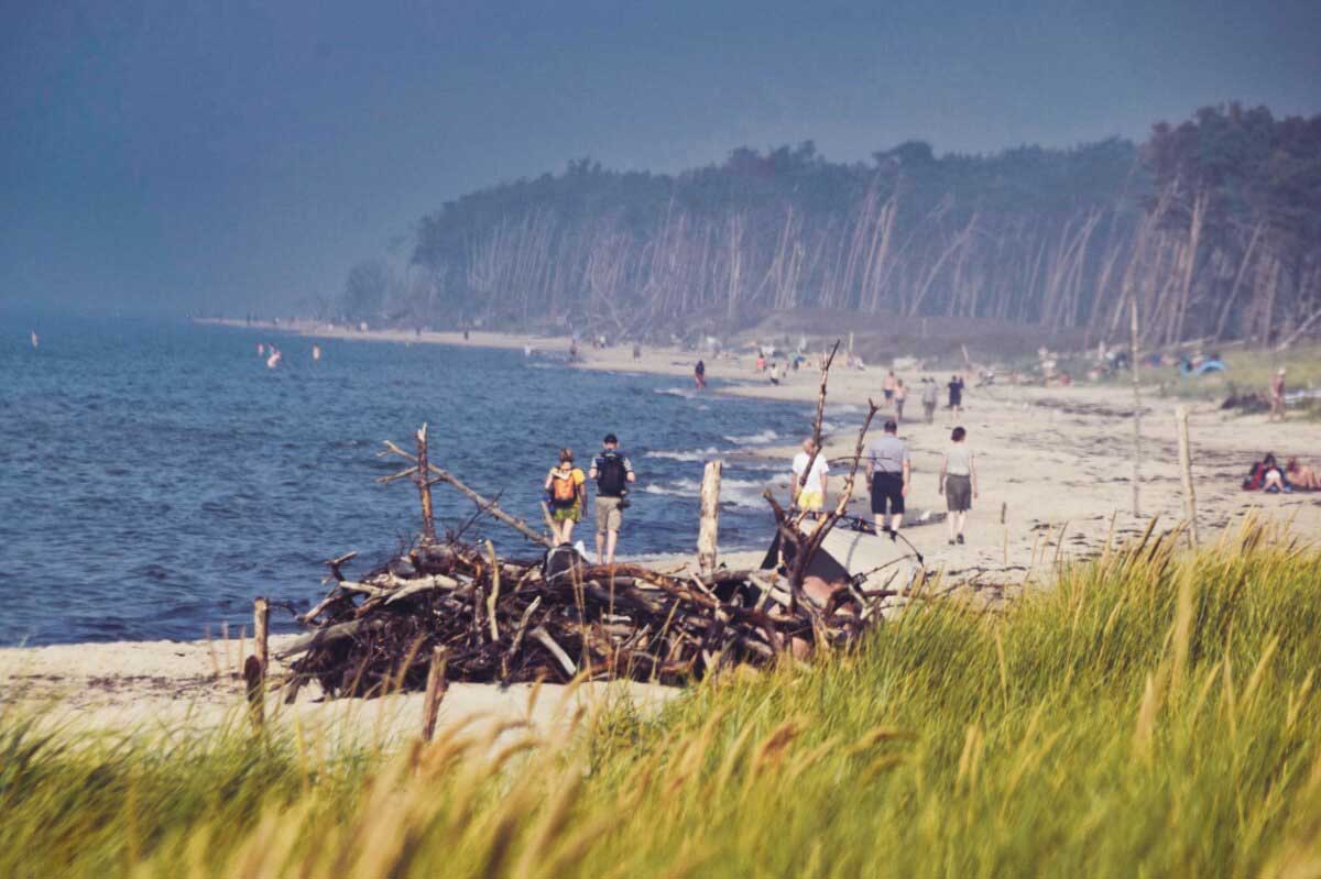 Der Weststrand auf dem Darß ist definitiv sehr beliebt und oft sehr voll.