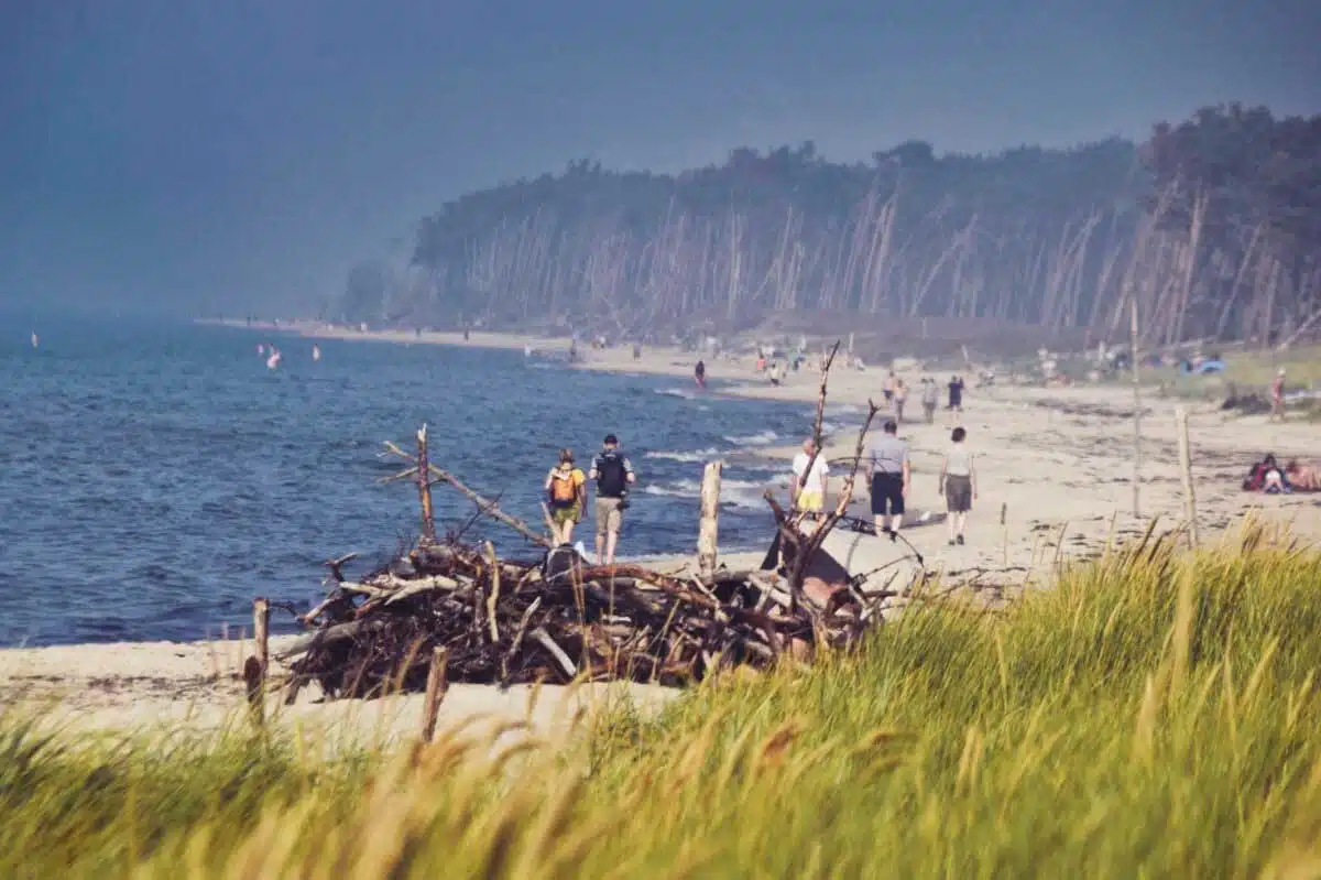 Der Weststrand auf dem Darß ist definitiv sehr beliebt und oft sehr voll. Der Weststrand auf dem Darß ist definitiv sehr beliebt und oft sehr voll.
