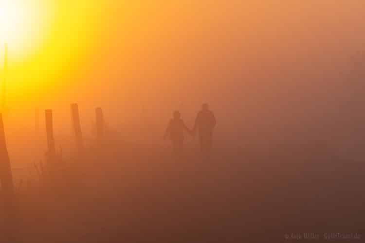 Paar im Morgennebel Paar im Morgennebel