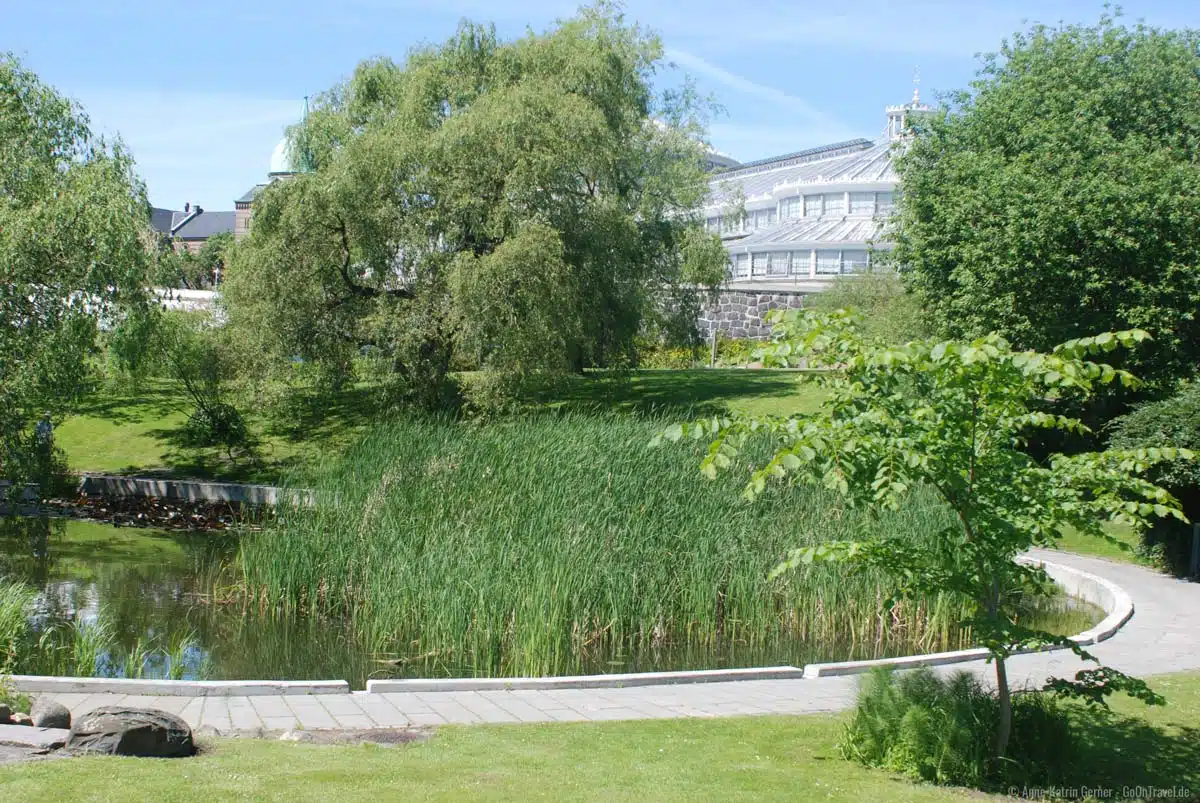 Das Palmenhaus im Botanischen Garten. Das Palmenhaus im Botanischen Garten.