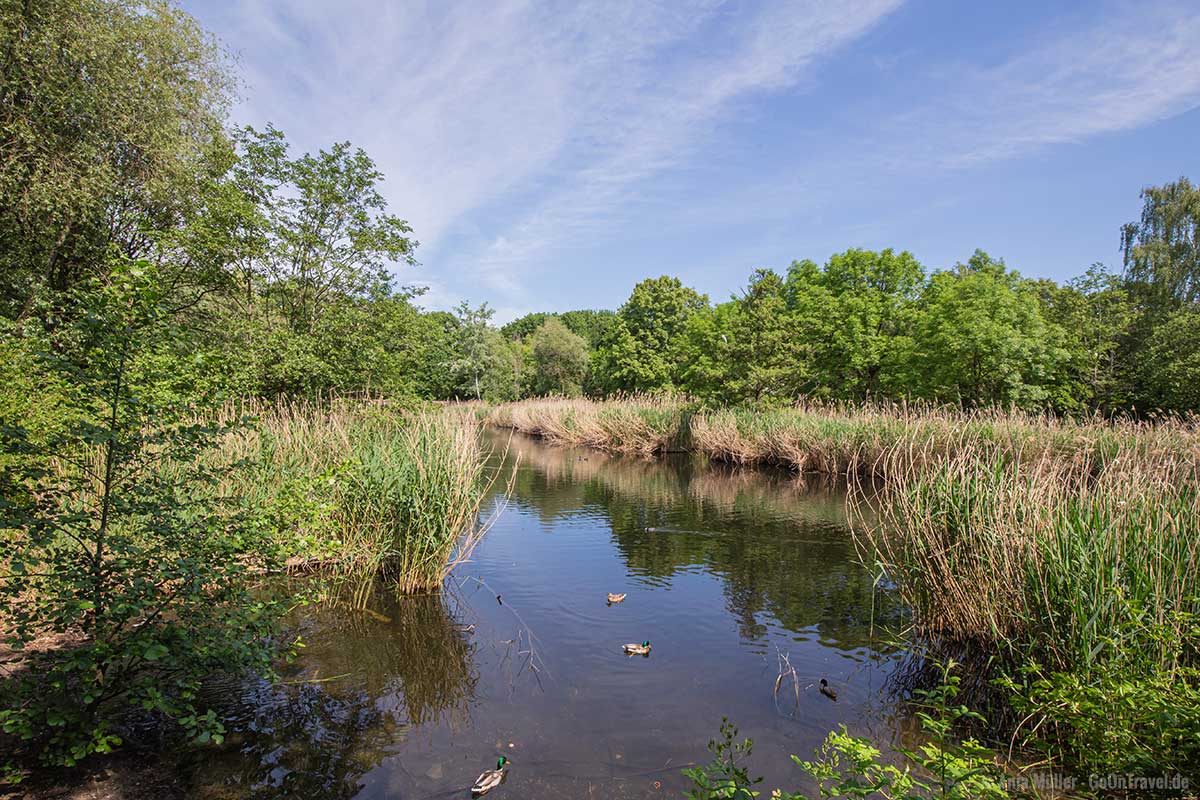 Blick auf den Rixdorfer Teich