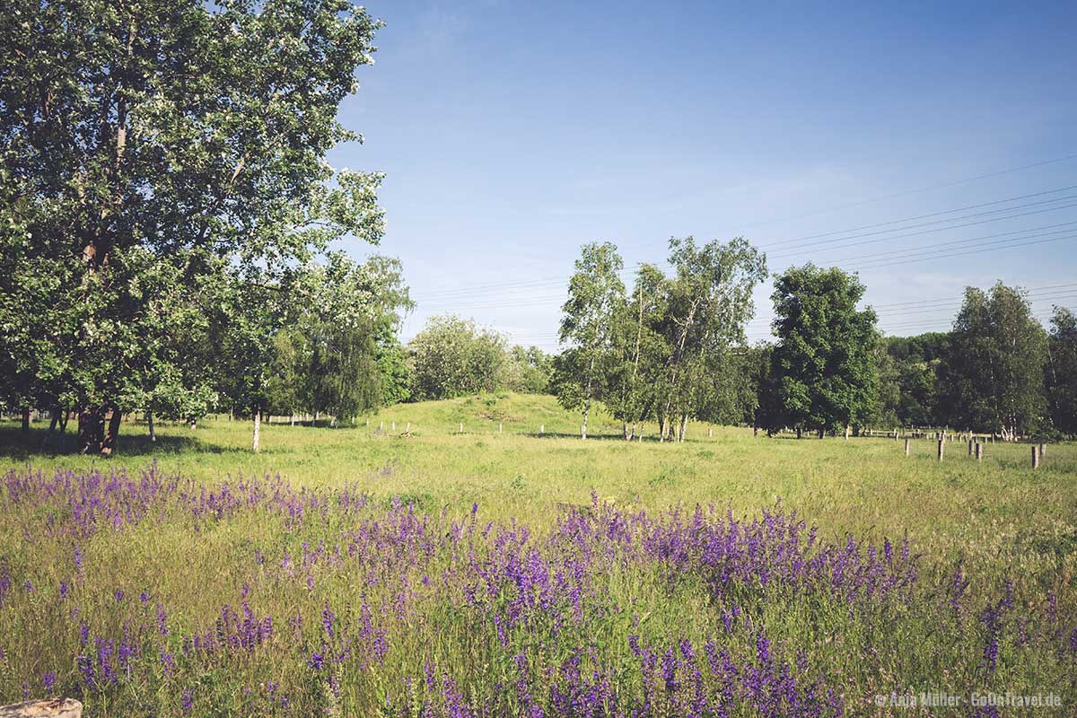 Idylle im Landschaftspark Herzberge