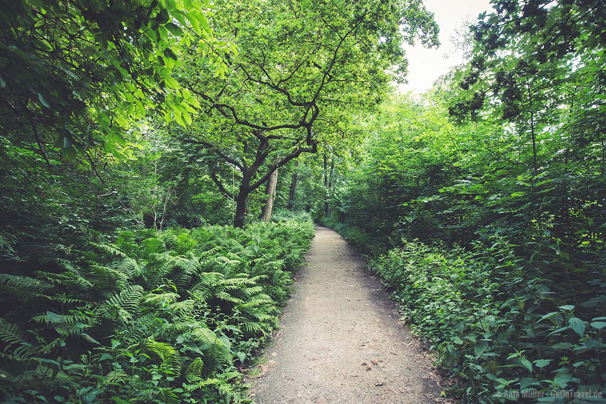 Viel Natur gibt es im Schlosspark Charlottenburg