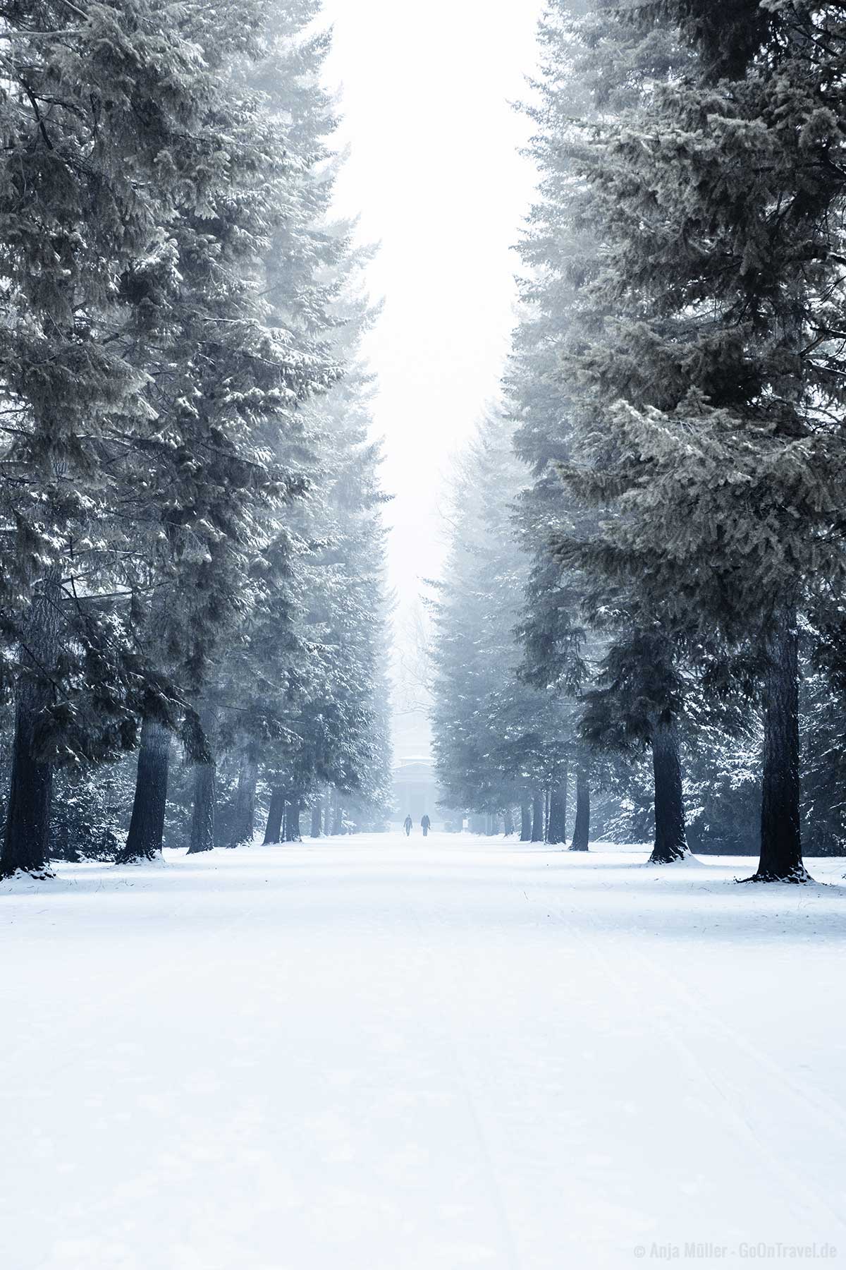 Schlosspark Charlottenburg im Winter Schlosspark Charlottenburg im Winter