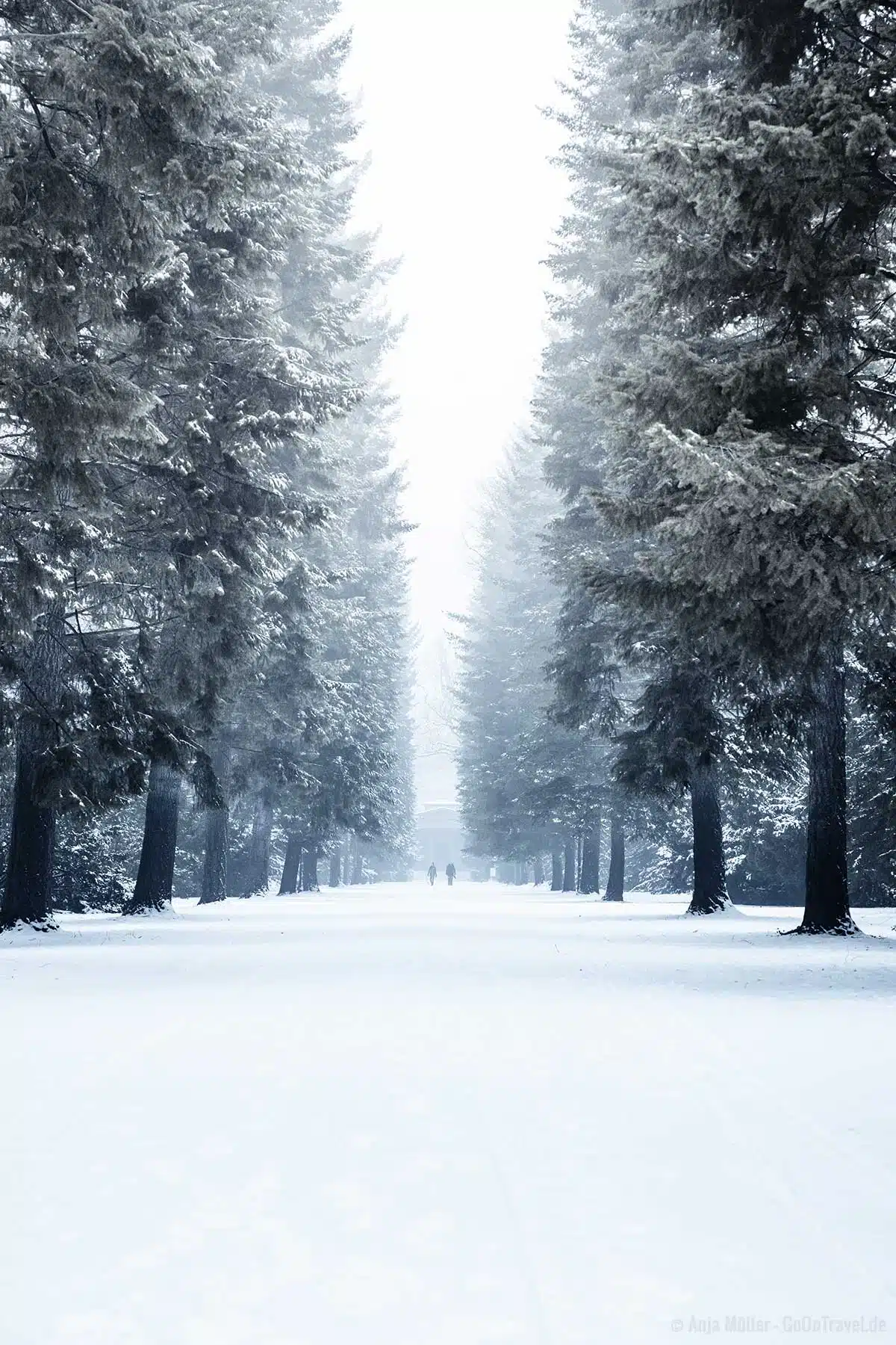 Schlosspark Charlottenburg im Winter Schlosspark Charlottenburg im Winter