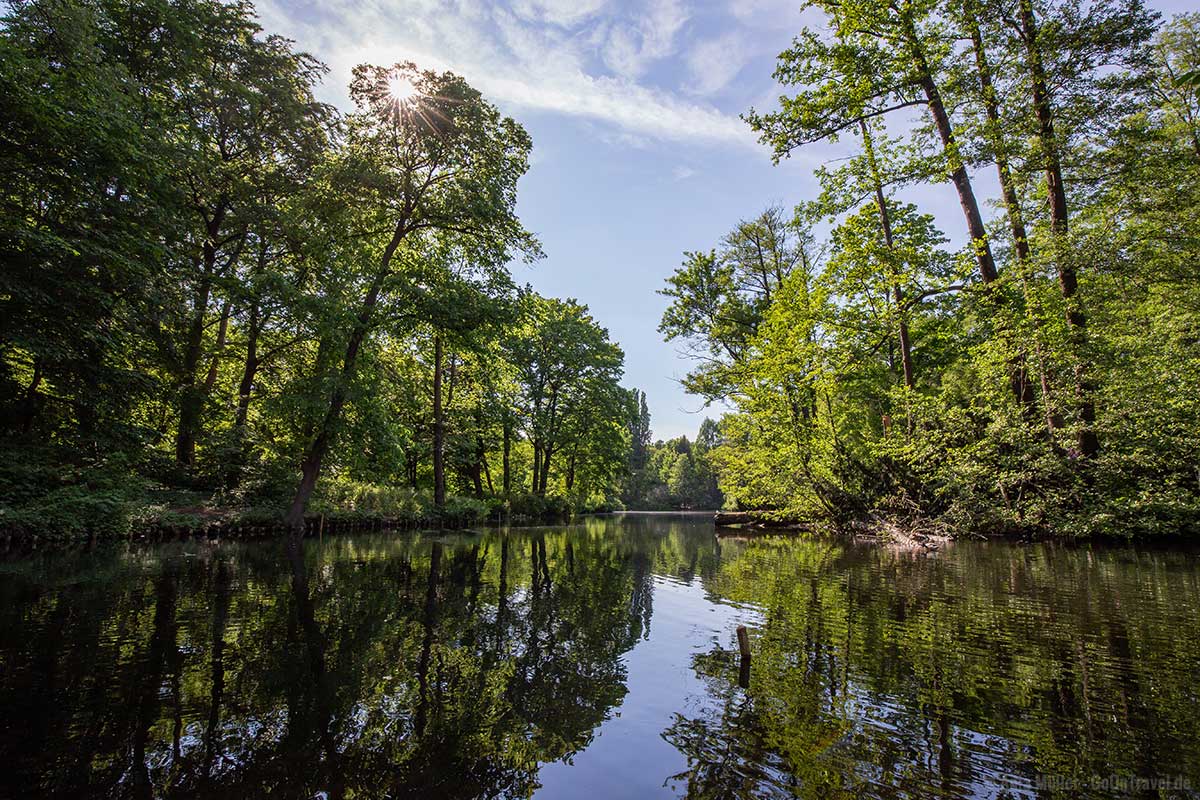 Natur pur im Tiergarten