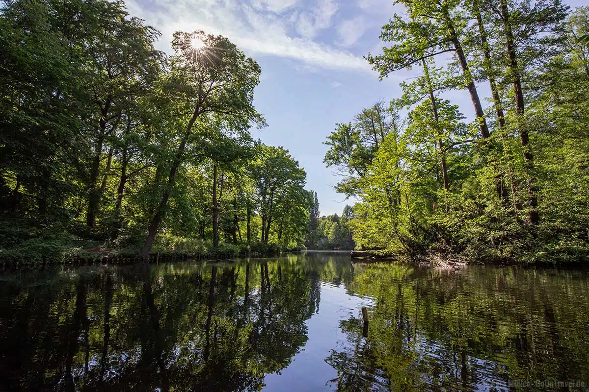 Natur pur im Tiergarten Natur pur im Tiergarten