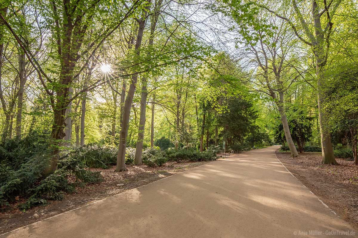 Besonders morgens hat man den Tiergarten fast für sich alleine Besonders morgens hat man den Tiergarten fast für sich alleine