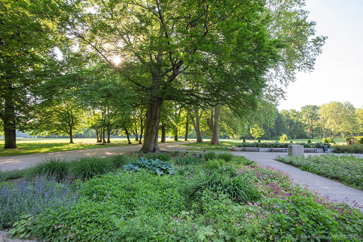 Sommerblumengarten im Treptower Park