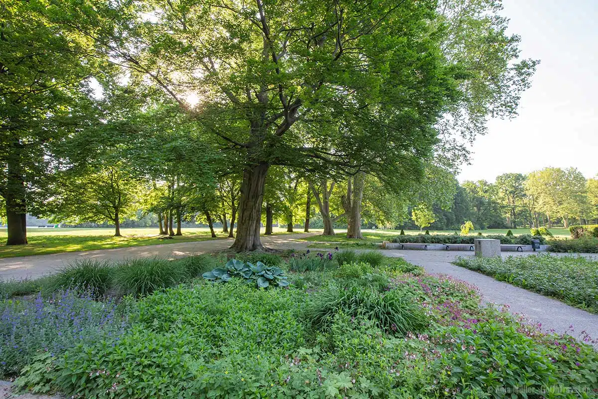 Sommerblumengarten im Treptower Park Sommerblumengarten im Treptower Park