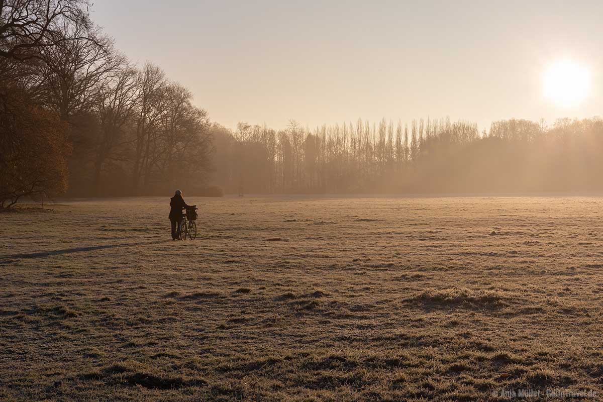 Treptower Park im Winter