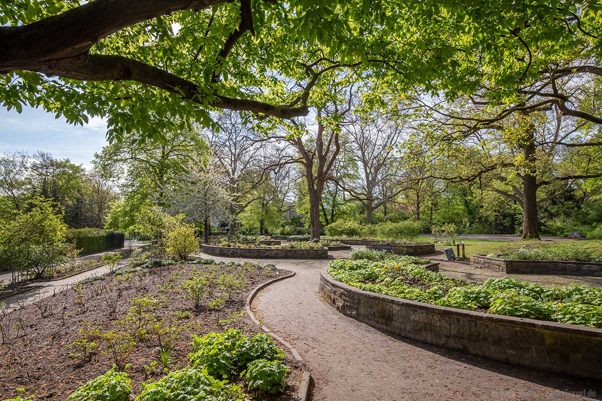Garten im Viktoriapark Garten im Viktoriapark