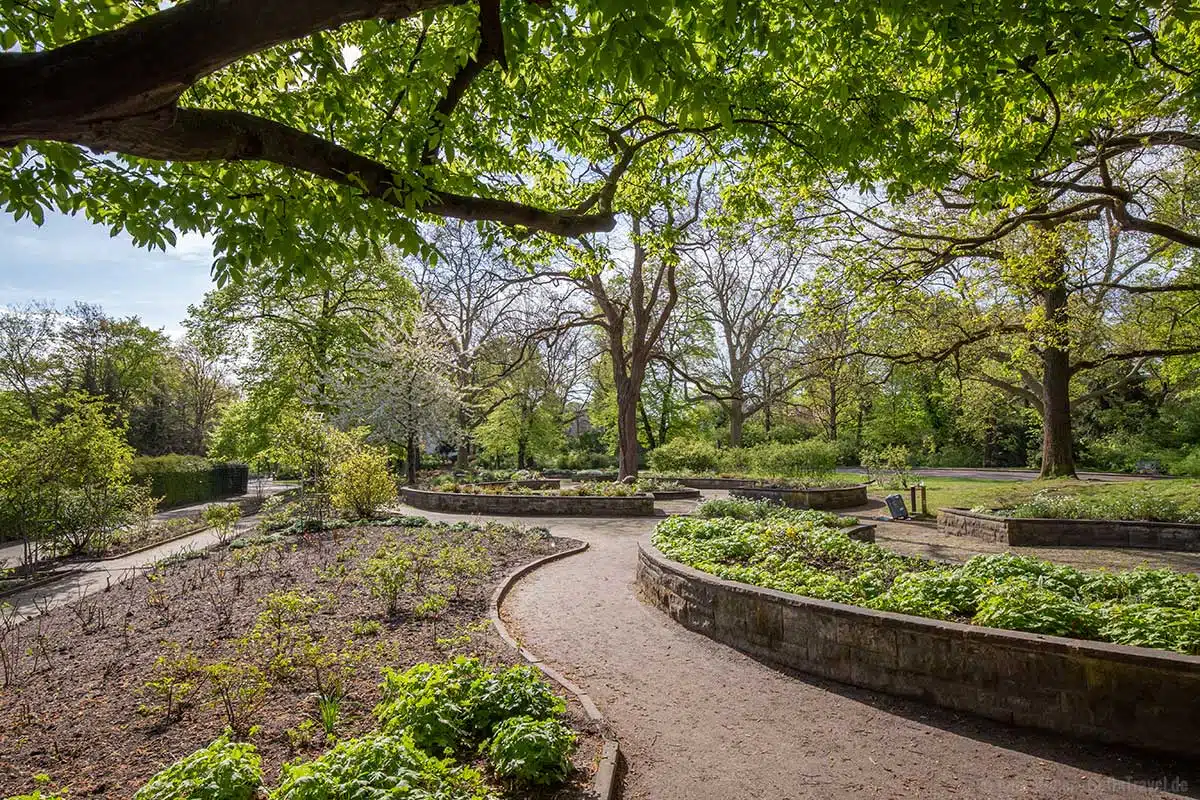 Garten im Viktoriapark Garten im Viktoriapark