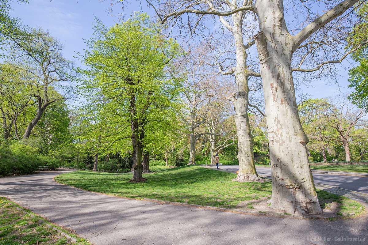 Weg im Viktoriapark Weg im Viktoriapark