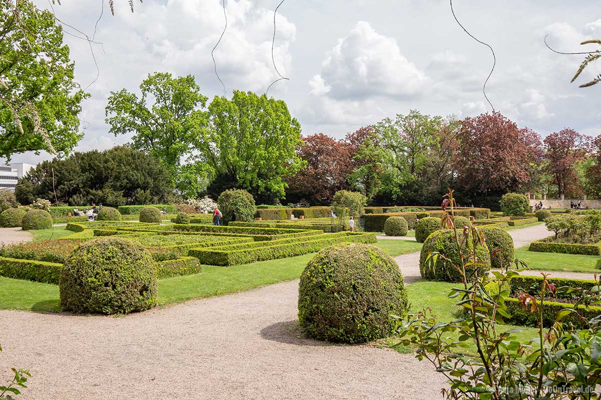 Rosengärten gibt es in vielen Parks in Berlin