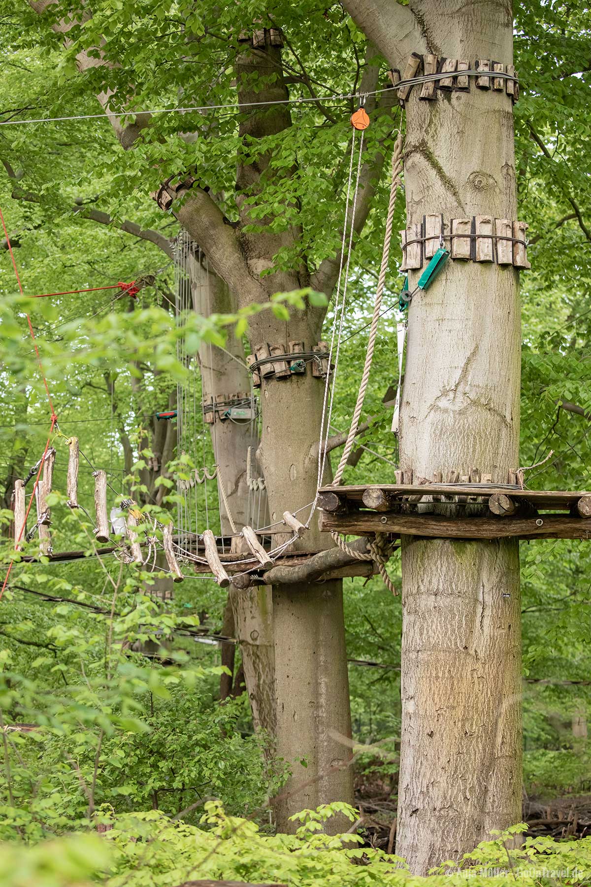 Waldhochseilgarten im Volkspark Jungfernheide Waldhochseilgarten im Volkspark Jungfernheide
