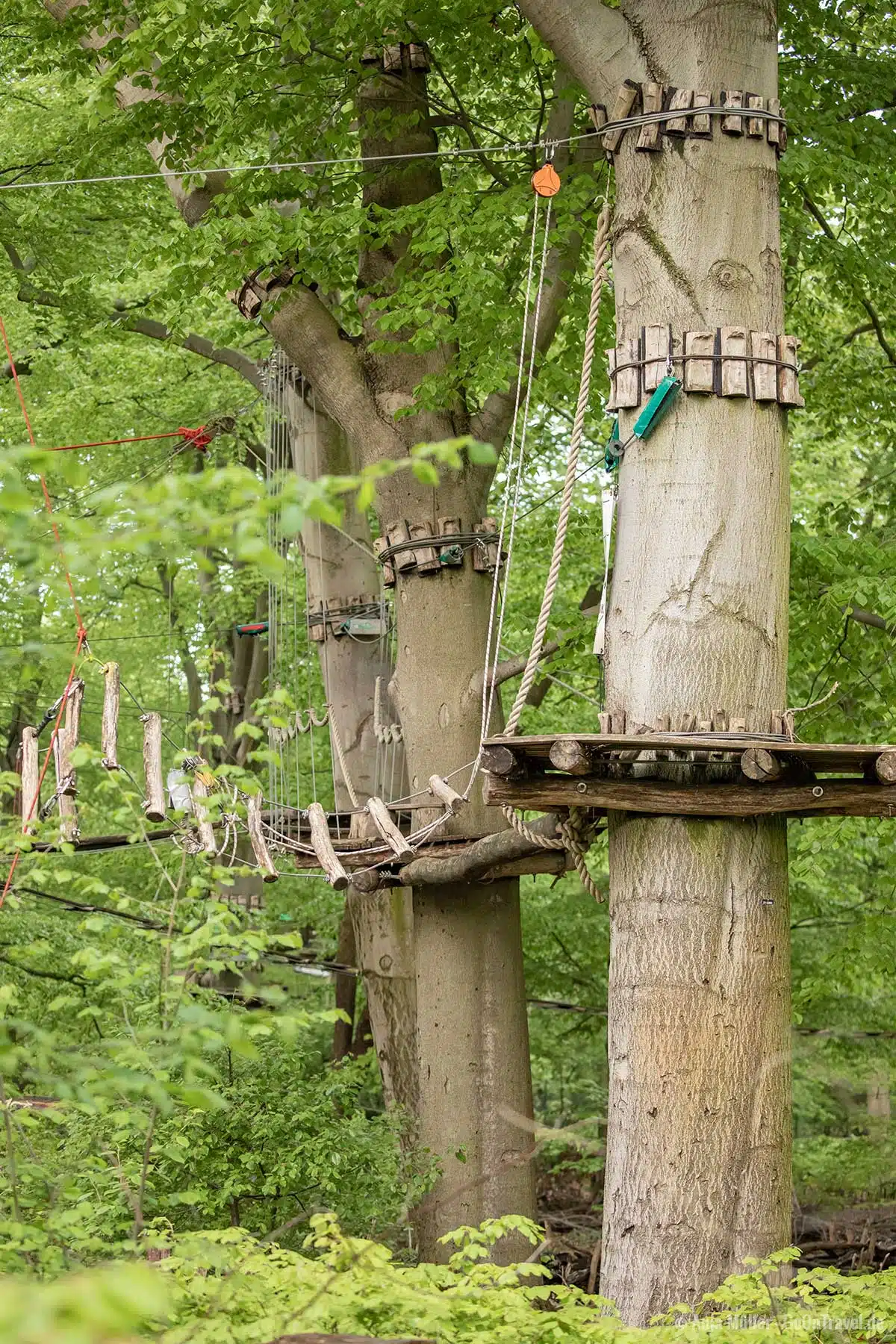 Waldhochseilgarten im Volkspark Jungfernheide Waldhochseilgarten im Volkspark Jungfernheide
