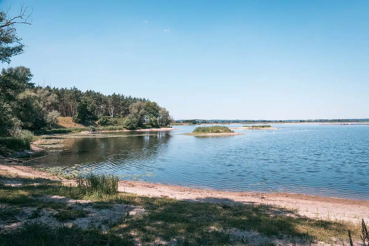 Ausläufer der Oder bei Bielinek Ausläufer der Oder bei Bielinek