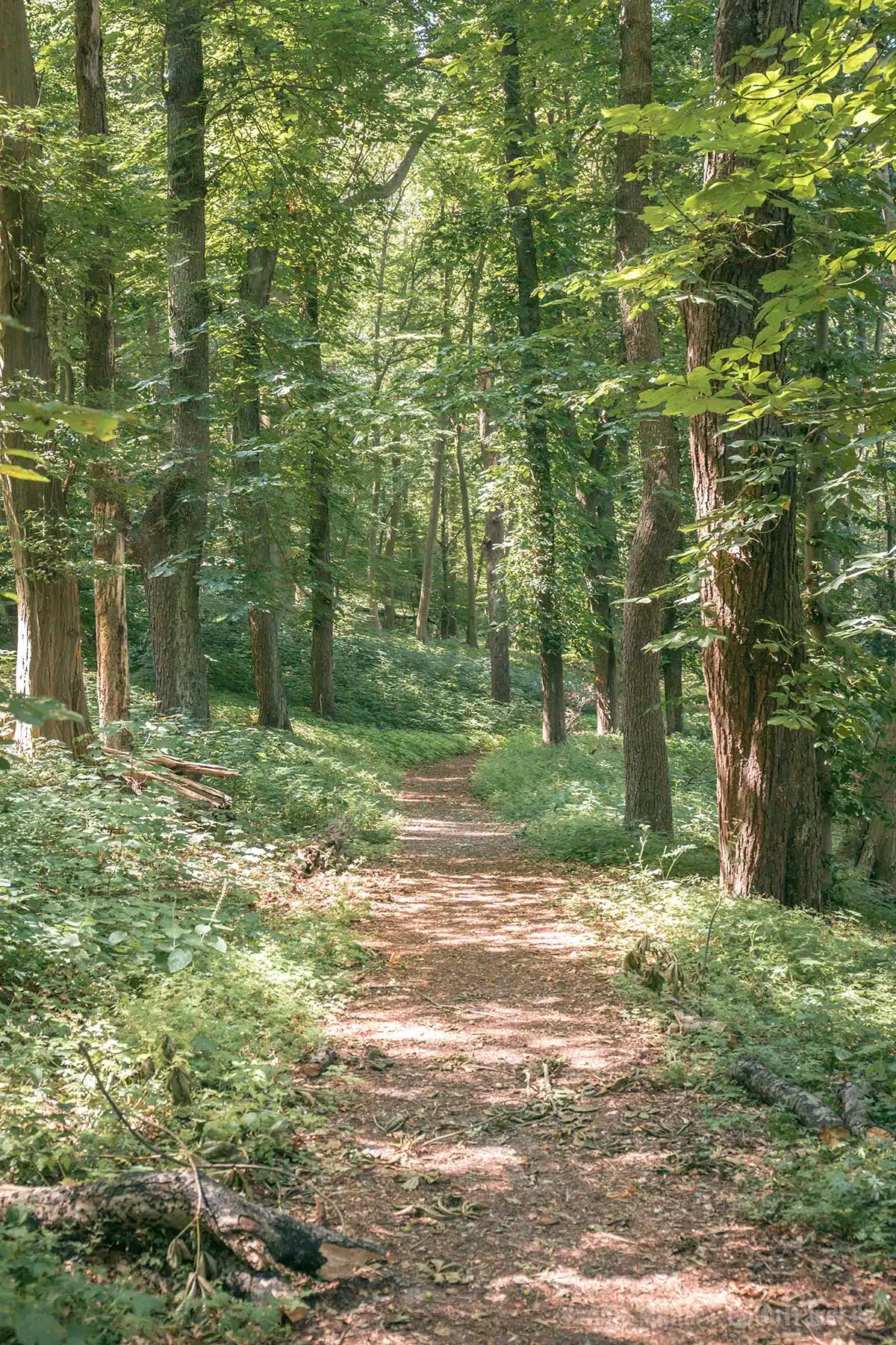 Wanderweg durch das Tal der Liebe Wanderweg durch das Tal der Liebe