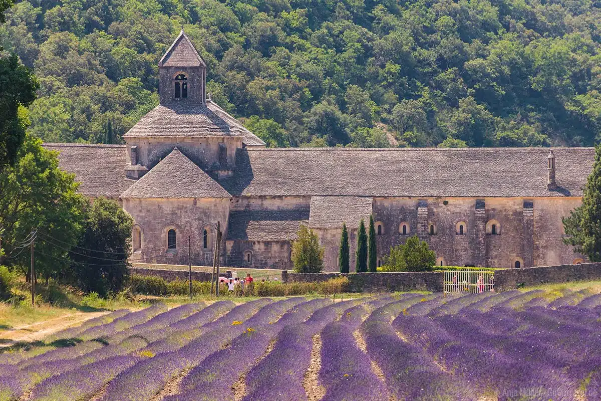 Die Abbaye Notre-Dame de Sénanque mit Lavendelfeld